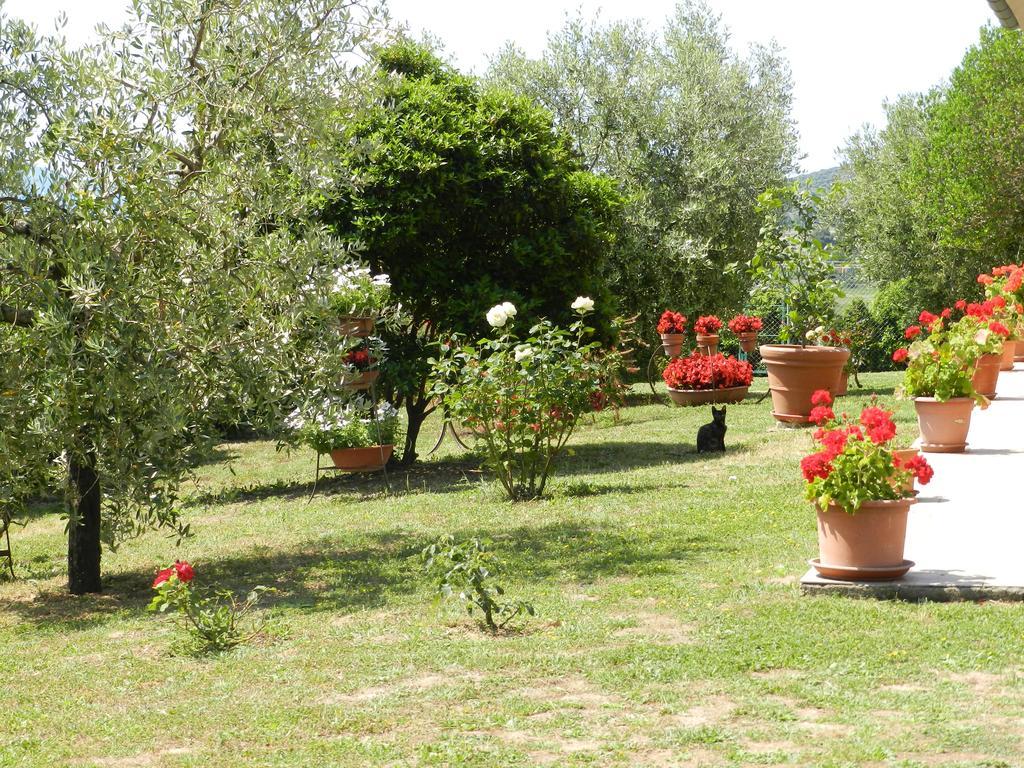 Agriturismo Severini Fonteblanda Exterior photo